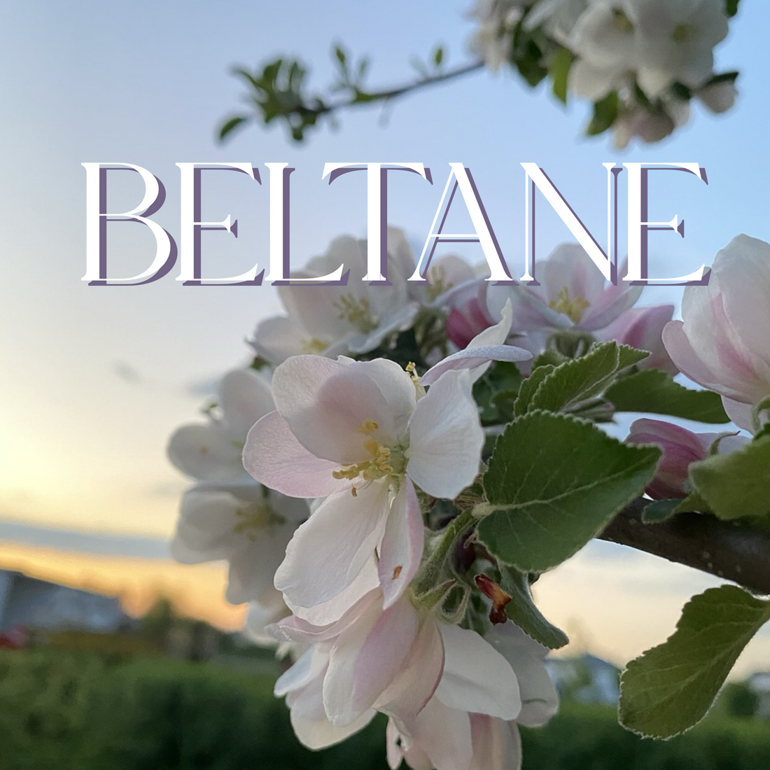 Beltane: A Celebration of Fire, Fertility, and Passion