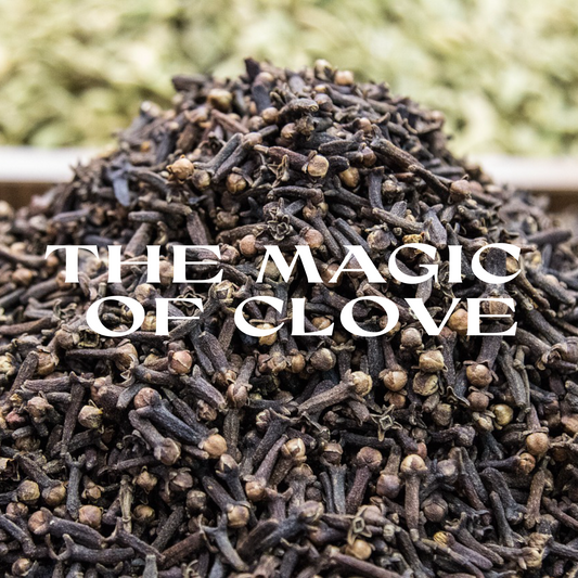 The Magical Properties of Clove: A Potent Ally for Protection and Power