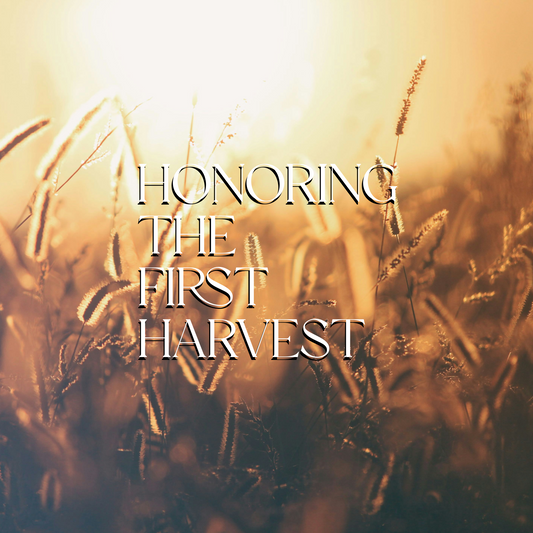 Daily Grimoire Journal Prompts for August 2025: Honoring the First Harvest, the Moon Cycles, and Abundance