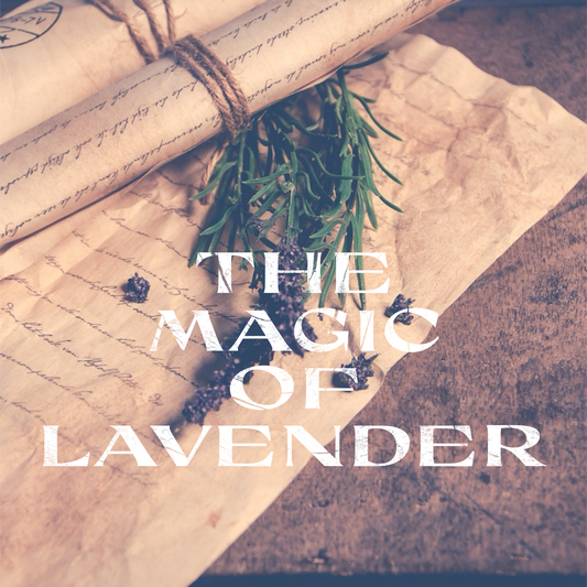 The Magical Properties of Lavender: A Sacred Herb for Healing and Tranquility